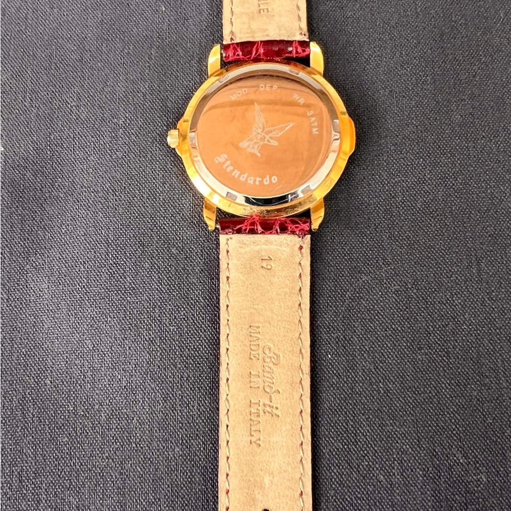 Stendardo Immersion Watch - Picture 5 of 10